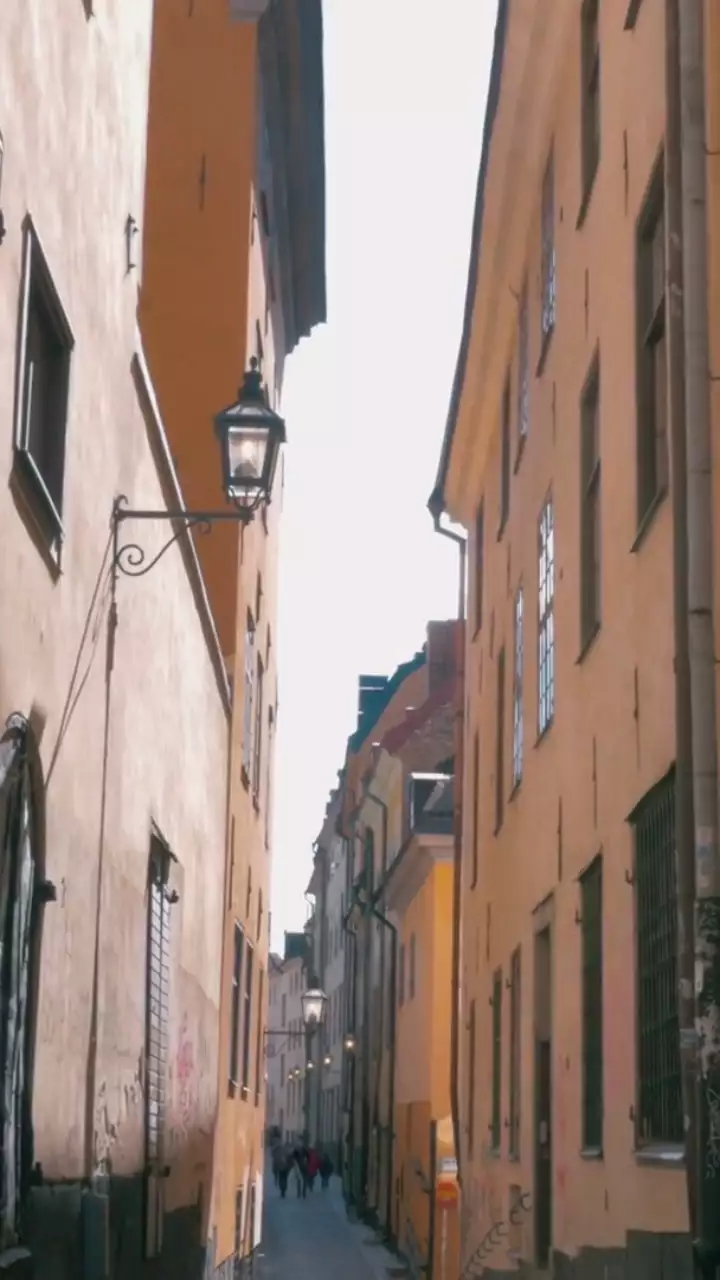 브라운톤의 감성적인 여행 브이로그