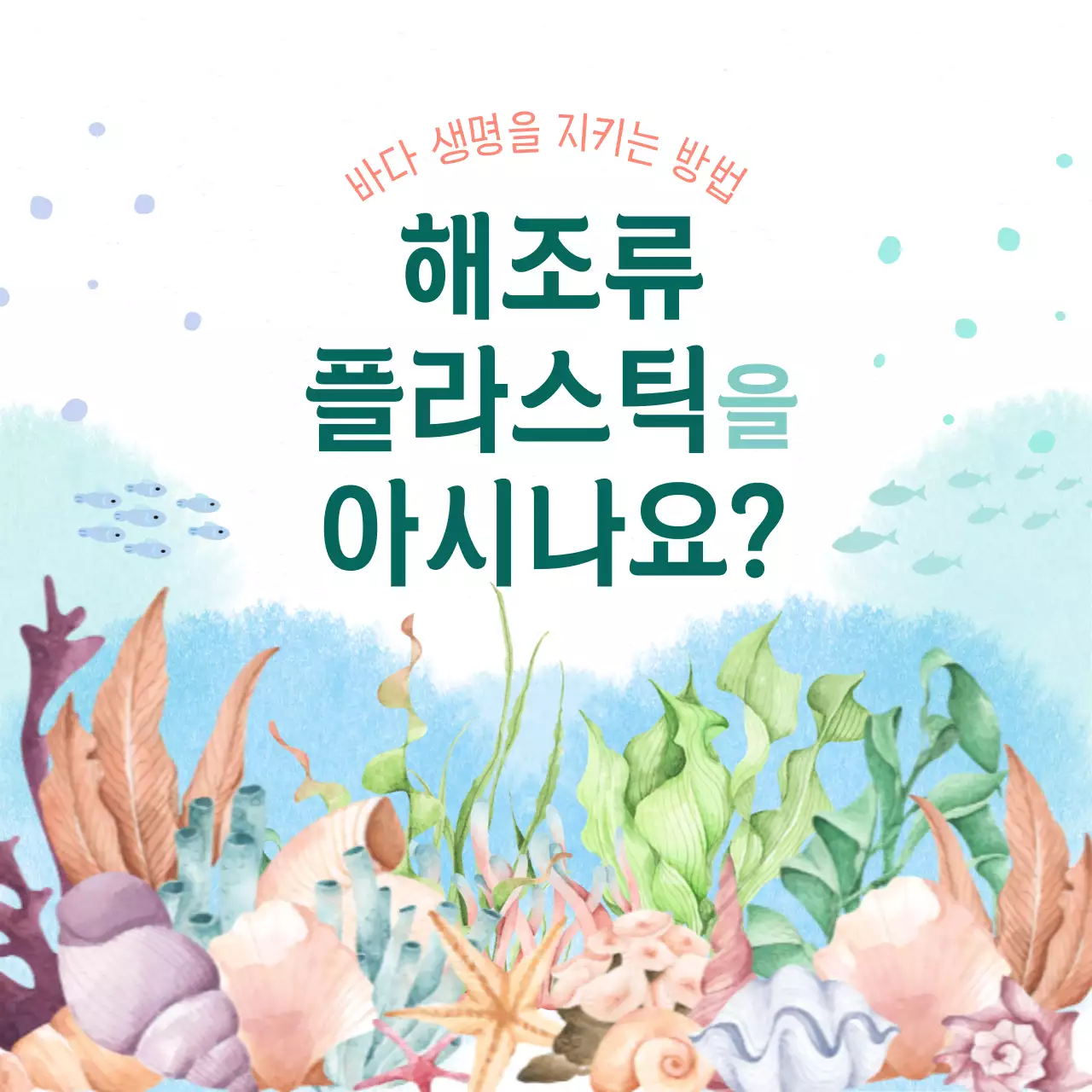 민트색과 수채화 컨셉의 해조류 플라스틱 정보
