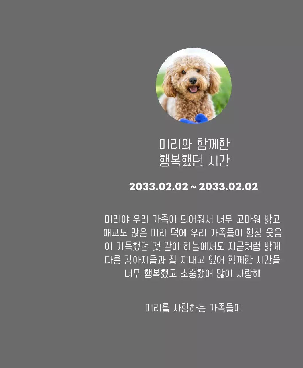 강아지 사진과 손글씨체가 있는 위패