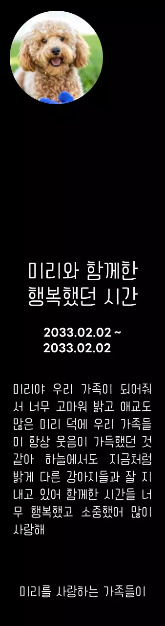 강아지 사진과 손글씨체가 있는 위패