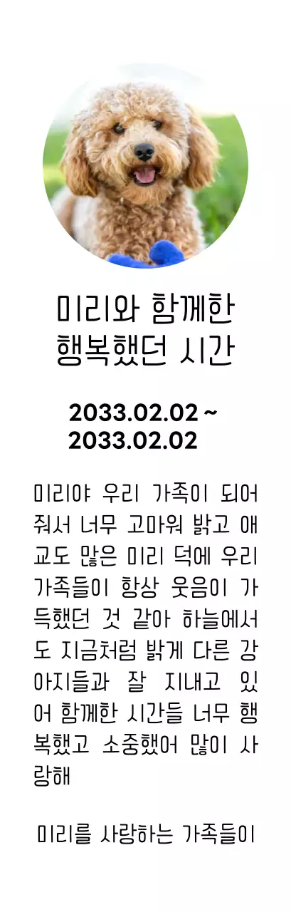 강아지 사진과 손글씨체가 있는 위패