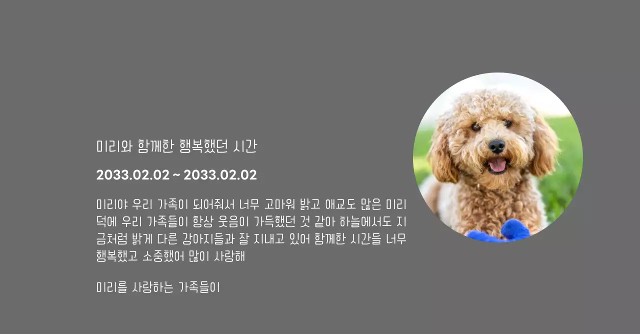 강아지 사진과 손글씨체가 있는 위패