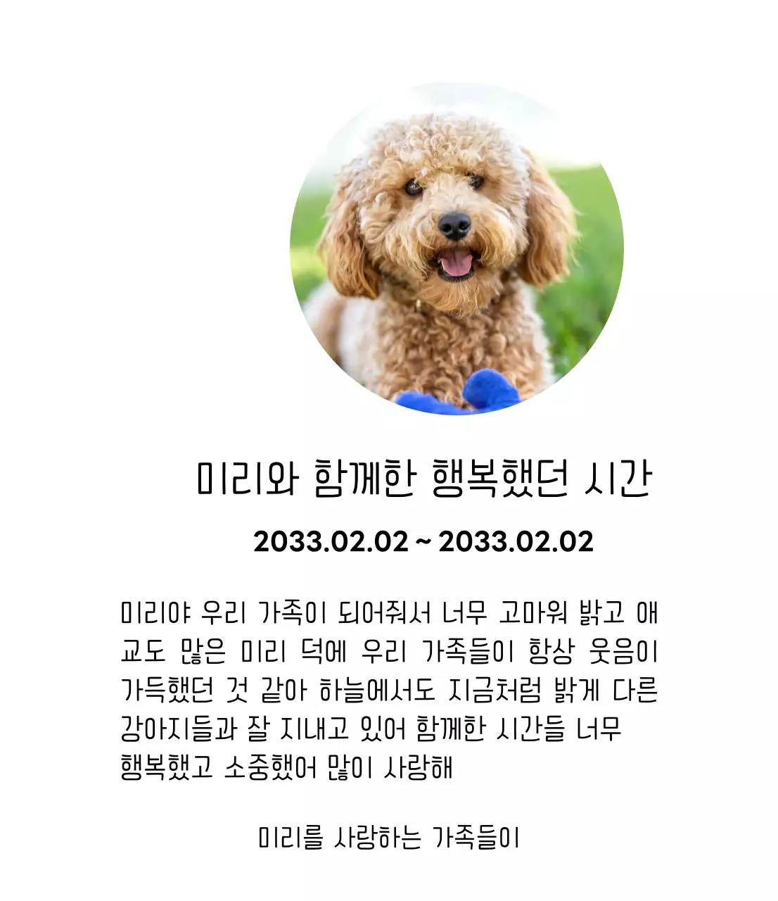 강아지 사진과 손글씨체가 있는 위패
