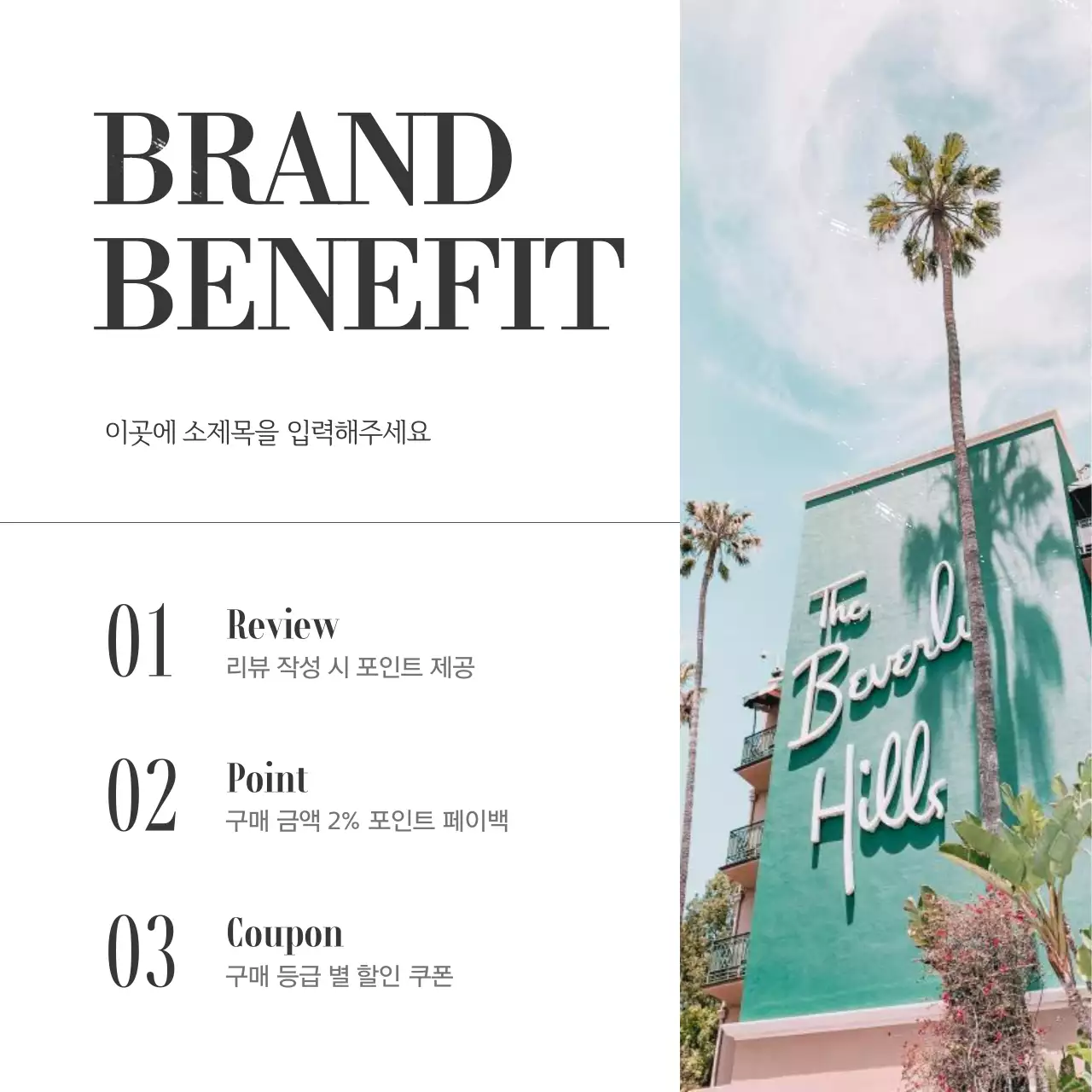 초록색의 빈티지한 여름 컨셉의 브랜드 SNS 게시글