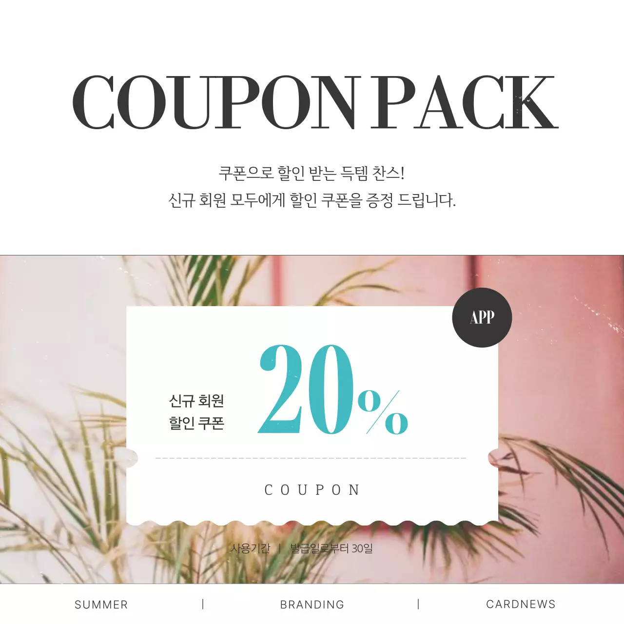 초록색의 빈티지한 여름 컨셉의 브랜드 SNS 게시글