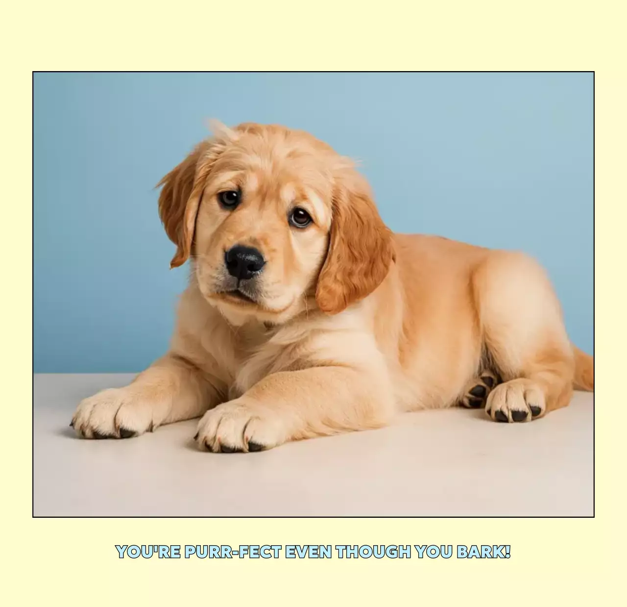 베이지 아기자기한 반려동물 달력