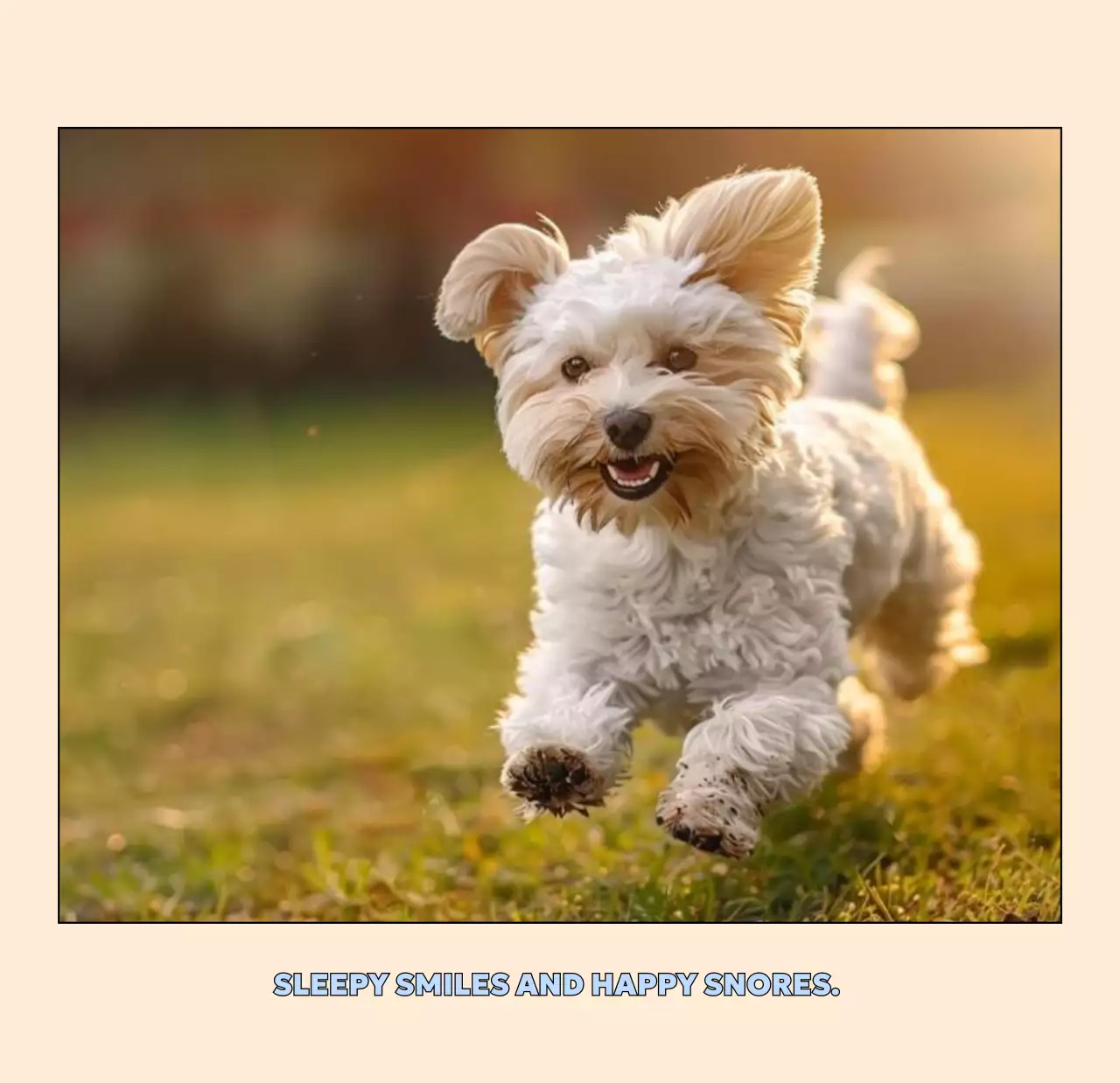 베이지 아기자기한 반려동물 달력