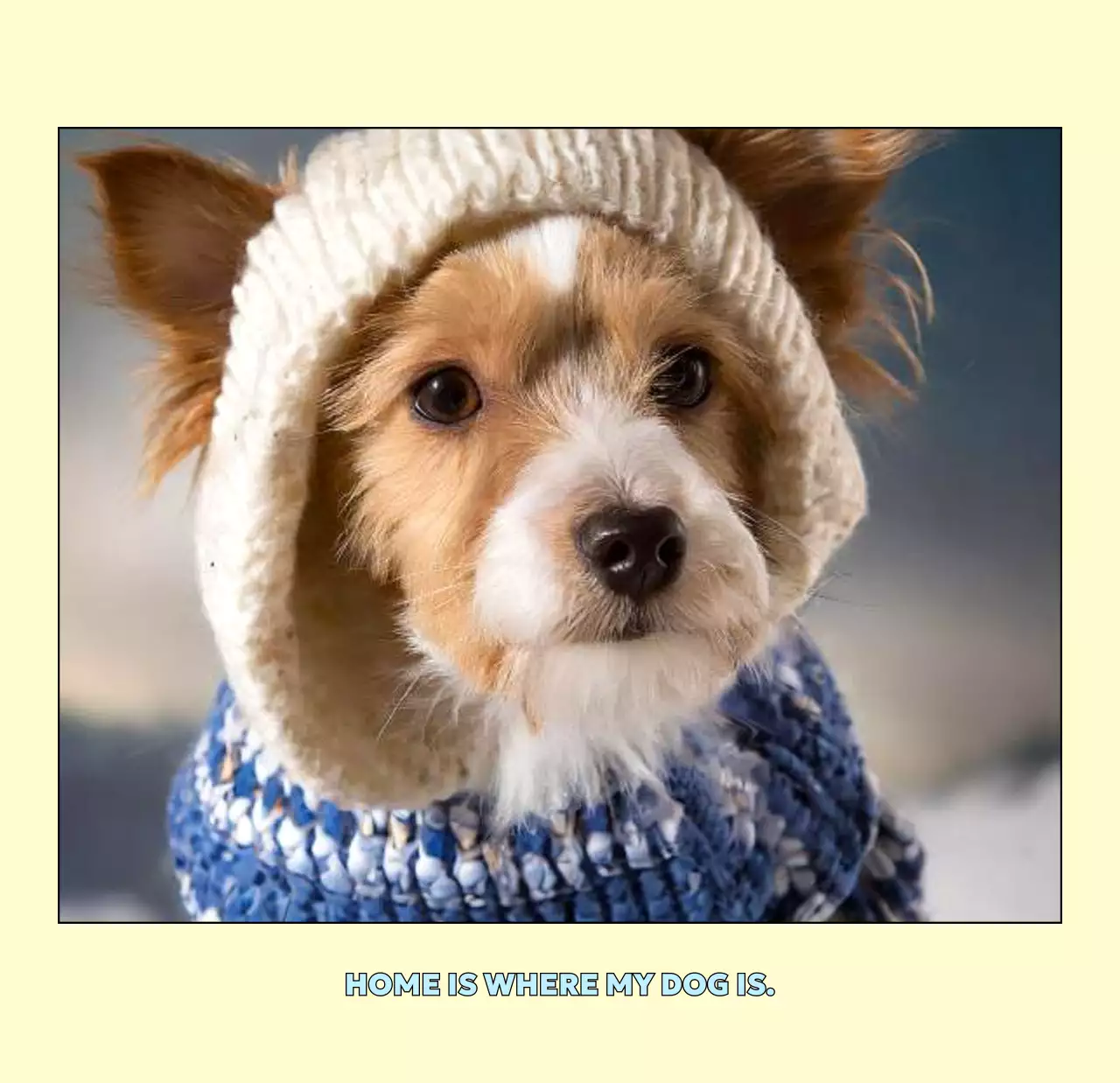 베이지 아기자기한 반려동물 달력