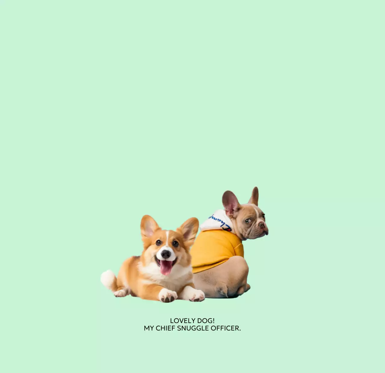 베이지 아기자기한 반려동물 달력