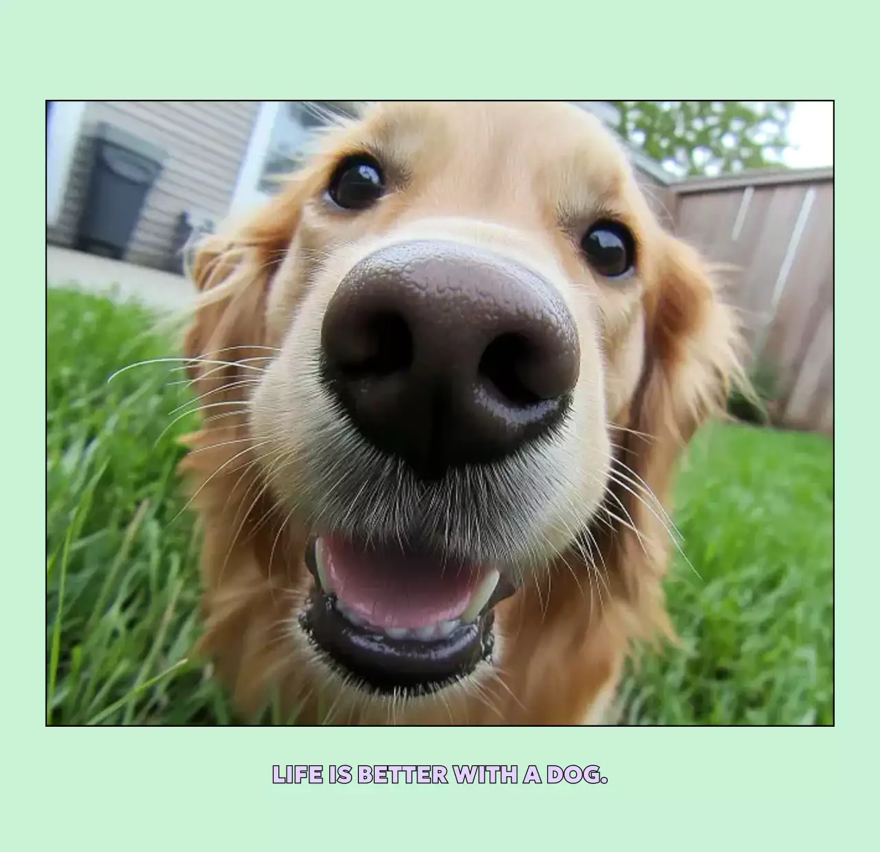 베이지 아기자기한 반려동물 달력