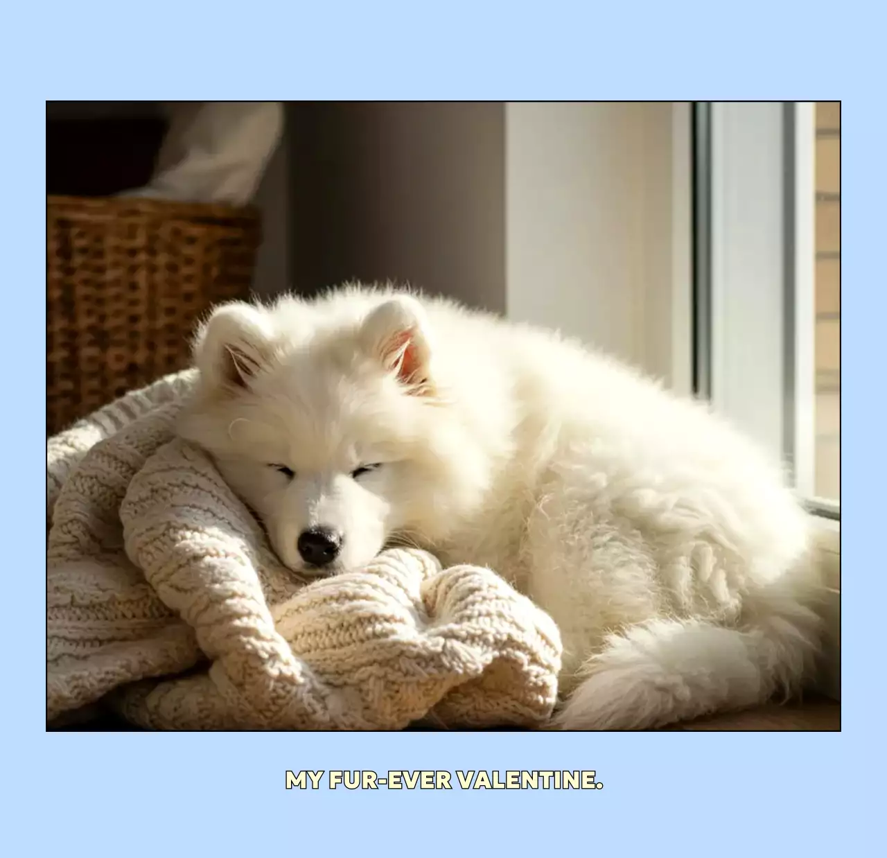 베이지 아기자기한 반려동물 달력