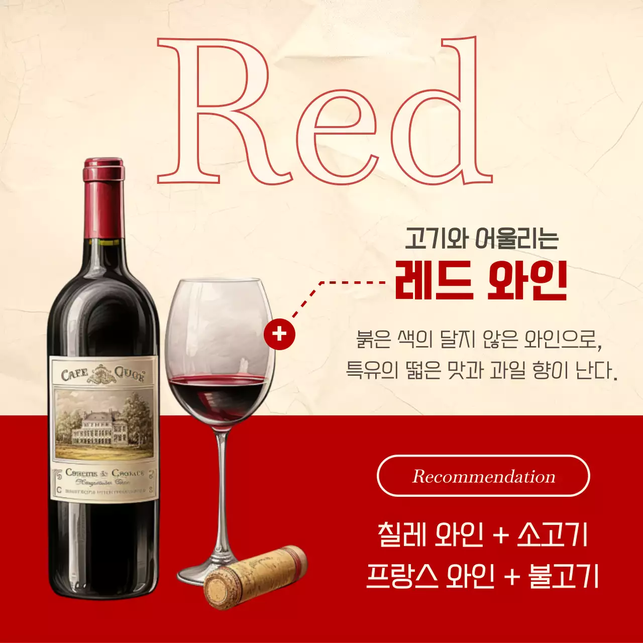 빨강과 카키색으로 강조된 빈티지한 와인 페어링 정보 게시글