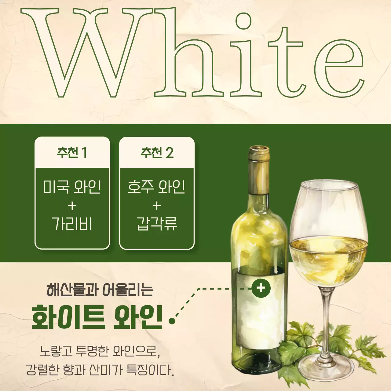 빨강과 카키색으로 강조된 빈티지한 와인 페어링 정보 게시글