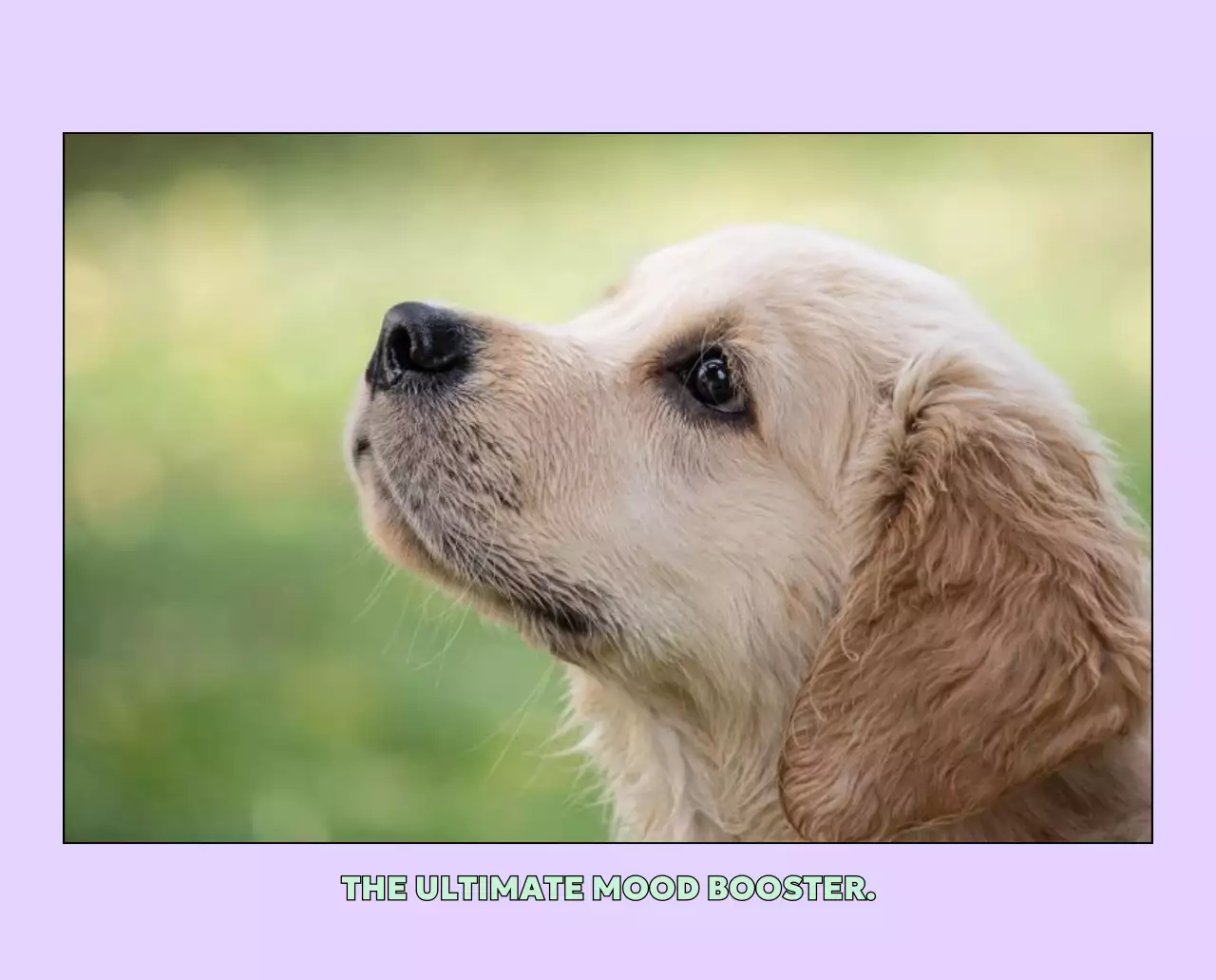 노랑 아기자기한 동물 달력