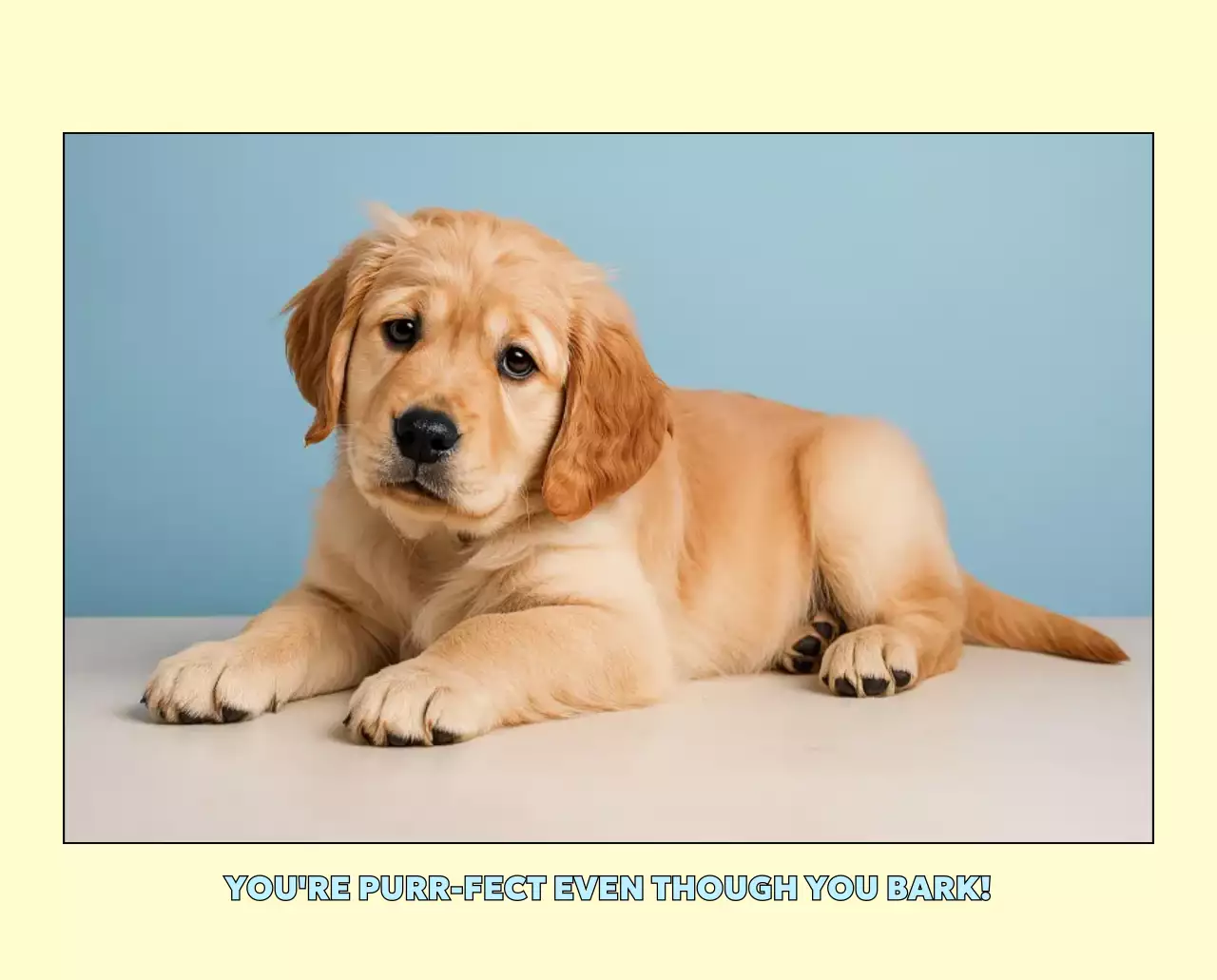 노랑 아기자기한 동물 달력