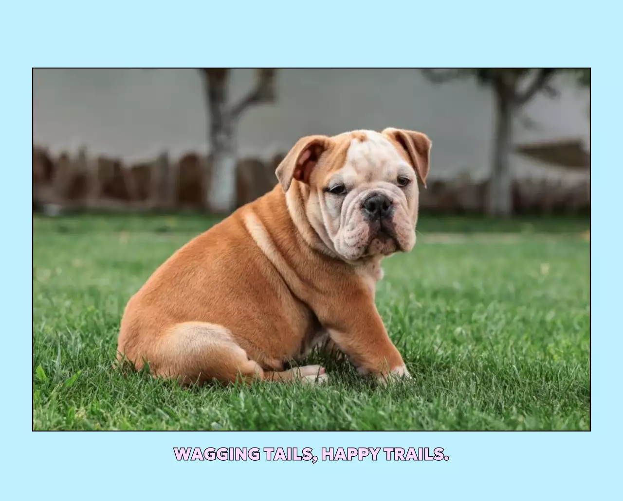 노랑 아기자기한 동물 달력