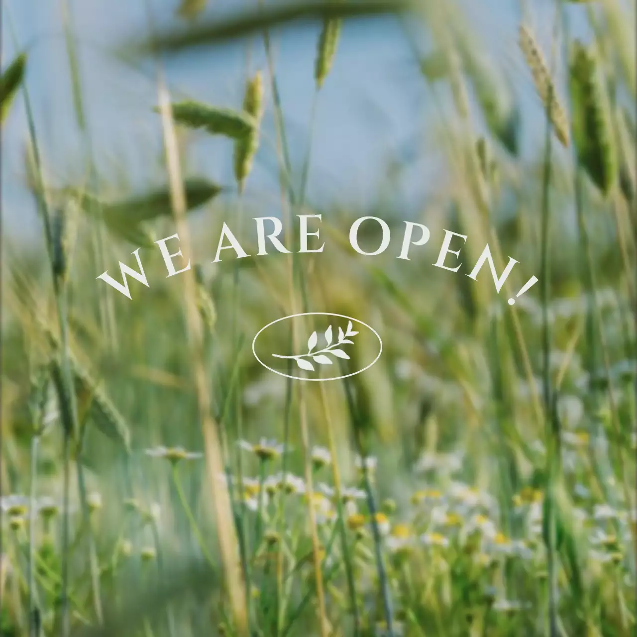 緑 モダン ファッション プロフィール