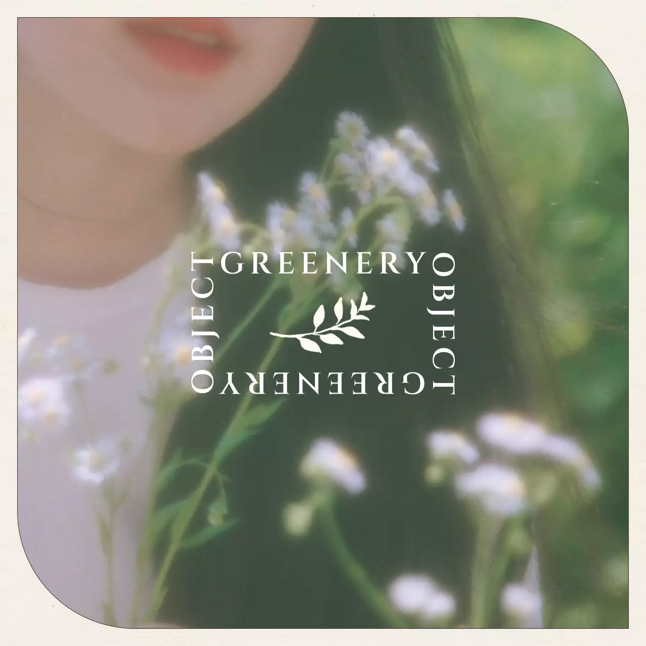 Green's Picnic Concept Photo Layout Bundle Pack