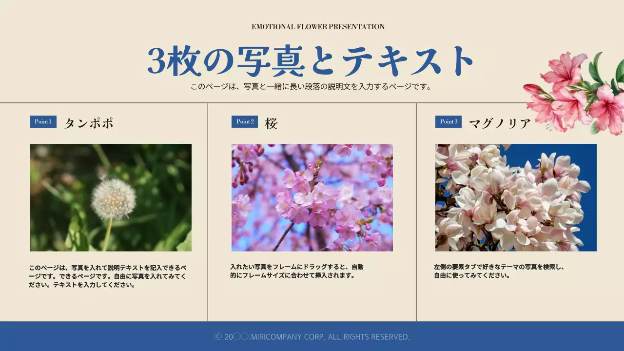 ピンク 上品 花 プレゼンテーション