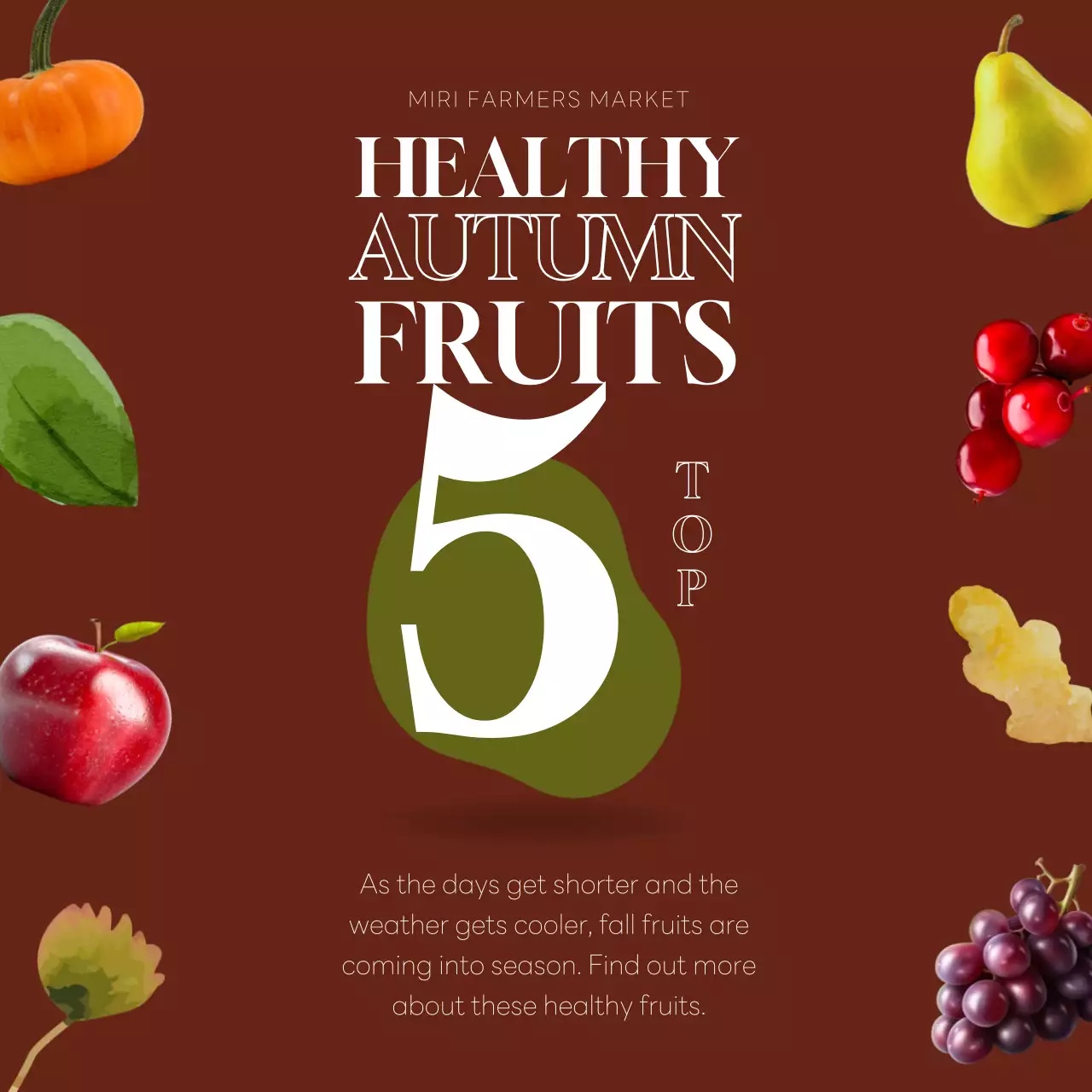 갈색과 카키색의 모던한 제철과일 홍보