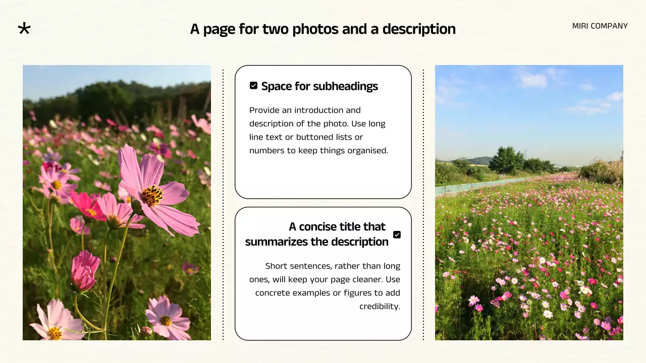 White Floral Autumn Presentation