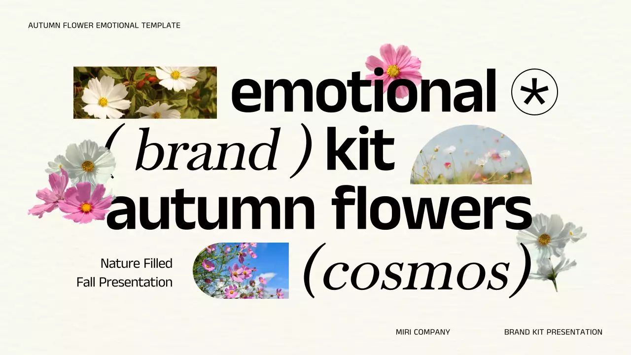 White Floral Autumn Presentation