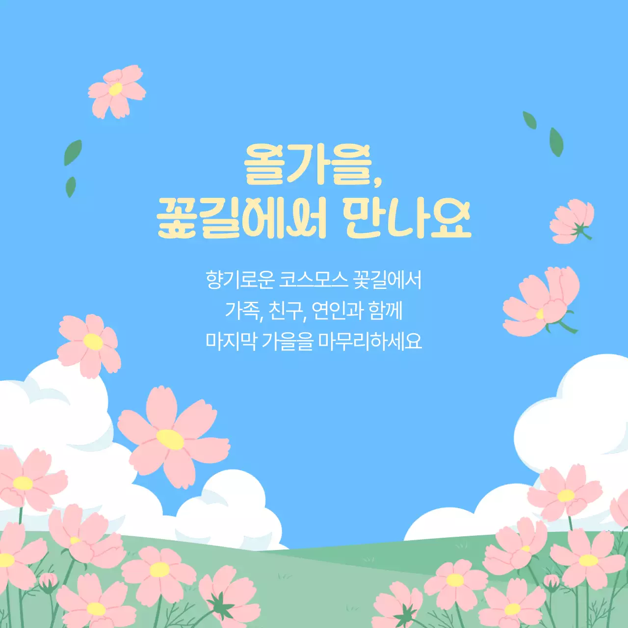 핑크 아기자기한 코스모스 축제 안내