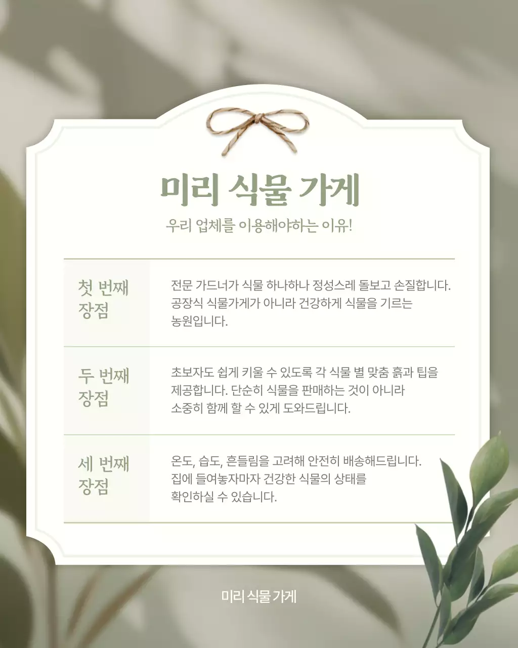 베이지 심플 식물 가게 홍보