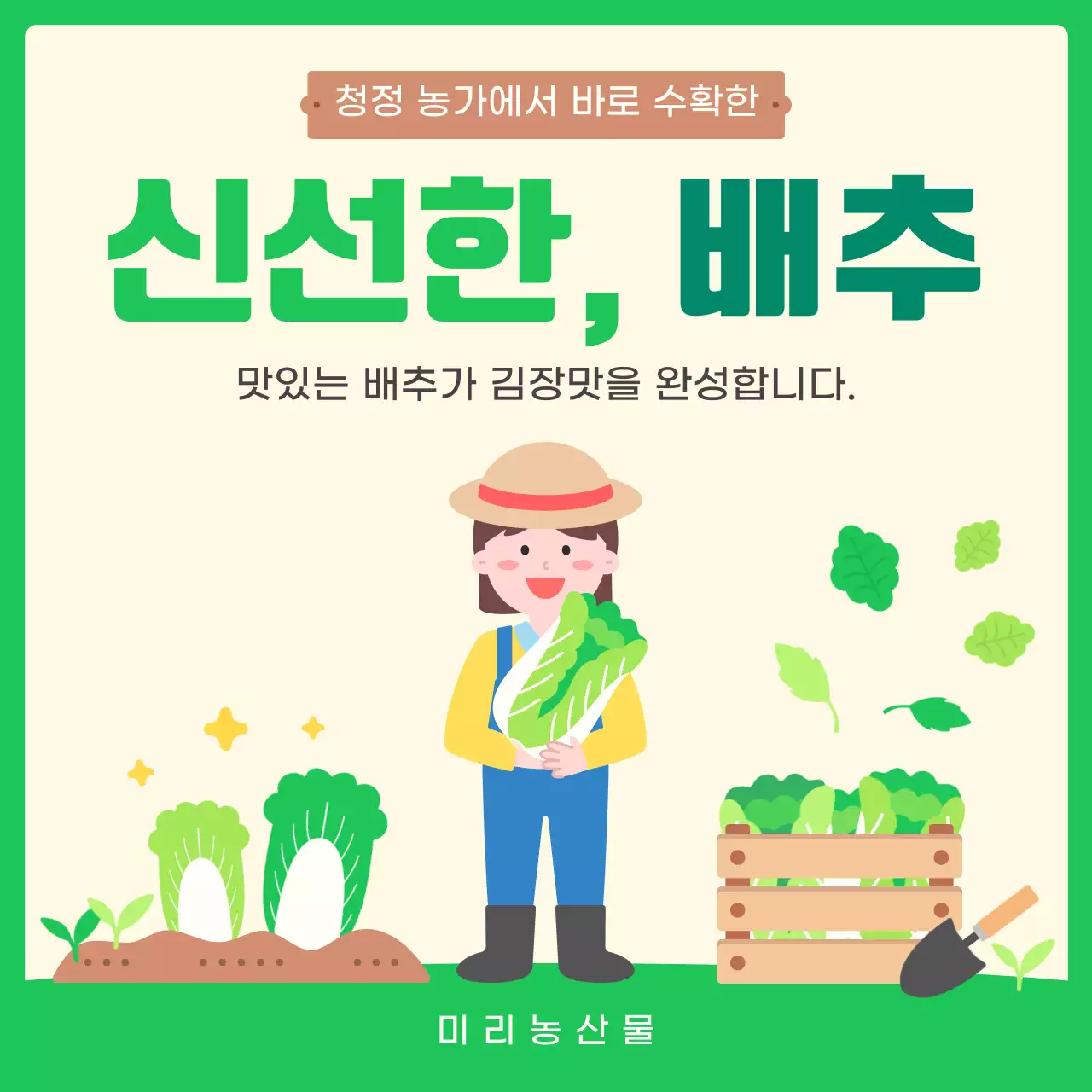 초록 아기자기한 김장 배추 광고