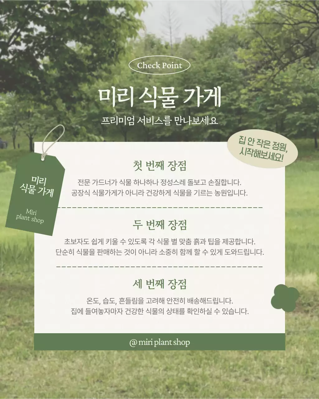 초록 깔끔 식물 관리 안내