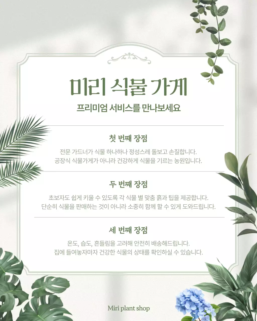 초록 깔끔 식물 가게 홍보