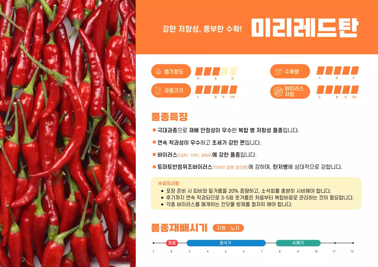 주황 모던 농업 제품 홍보