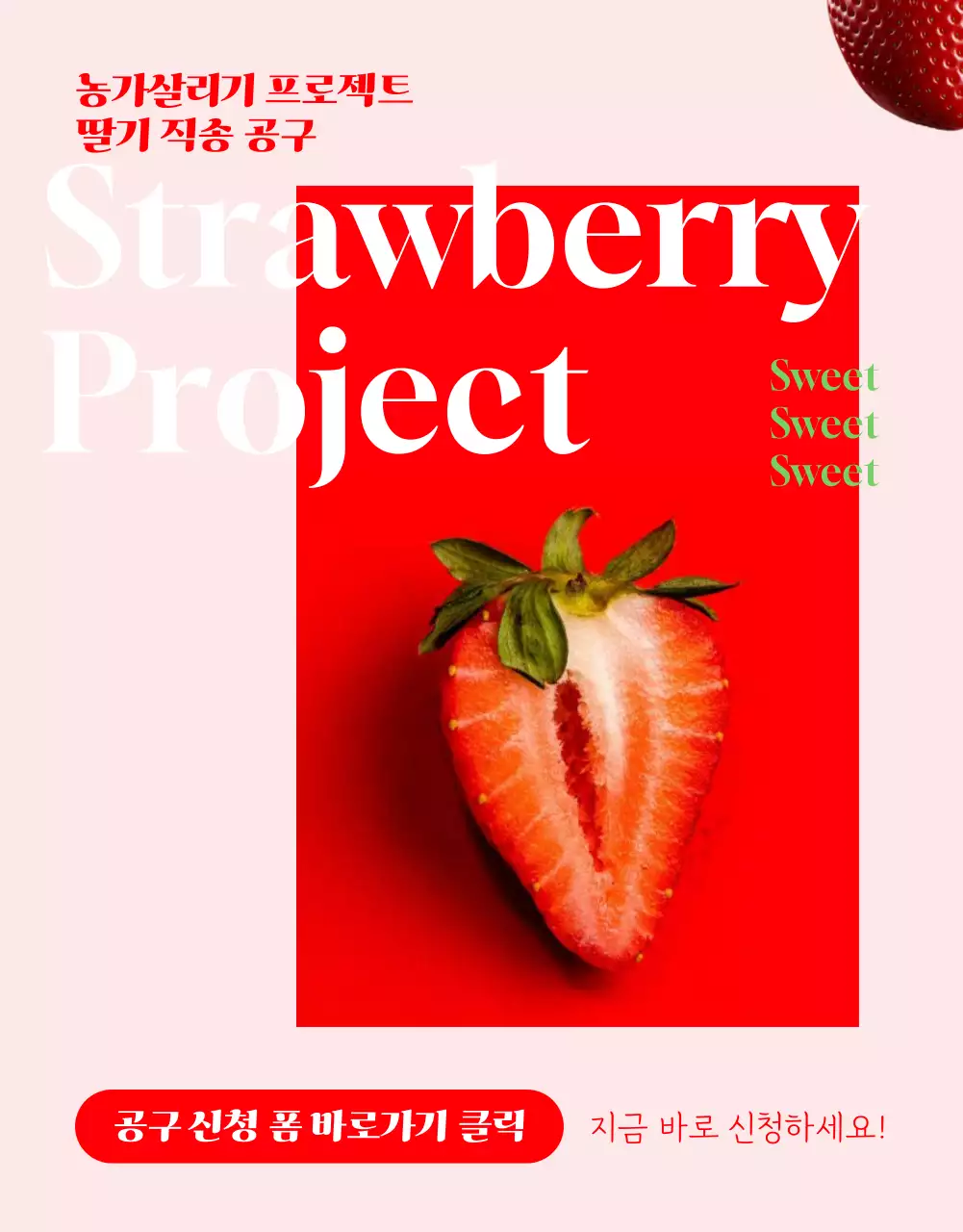 빨강의 아기자기한 딸기공구판매 홍보
