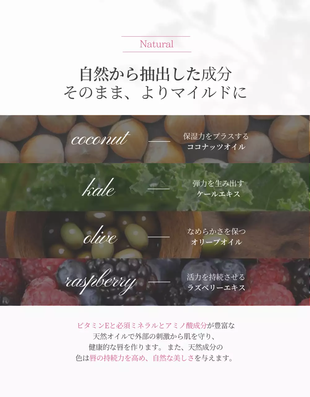 赤 上品 リップクリーム パンフレット 詳細ページ