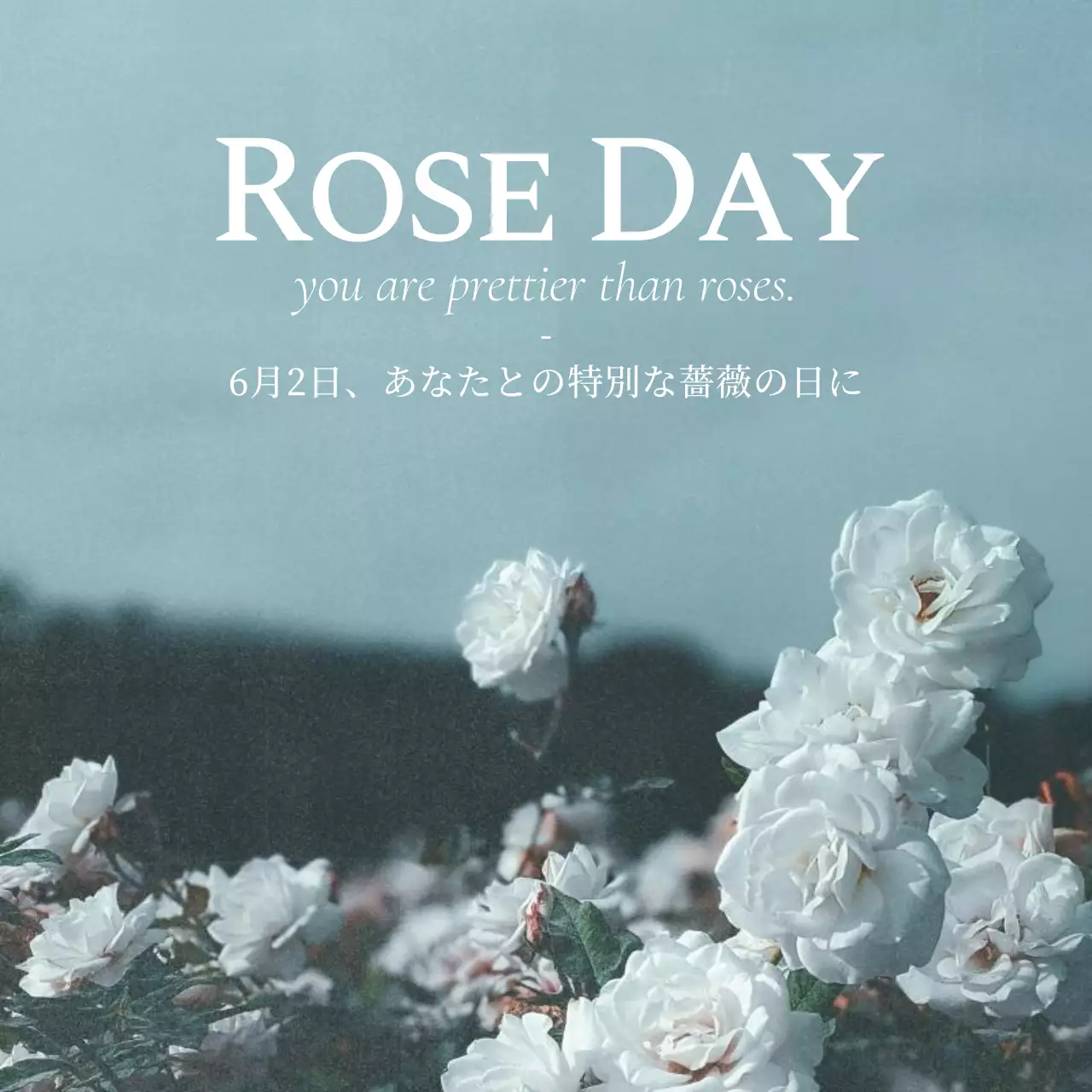 白 シンプル ローズデー ポスター