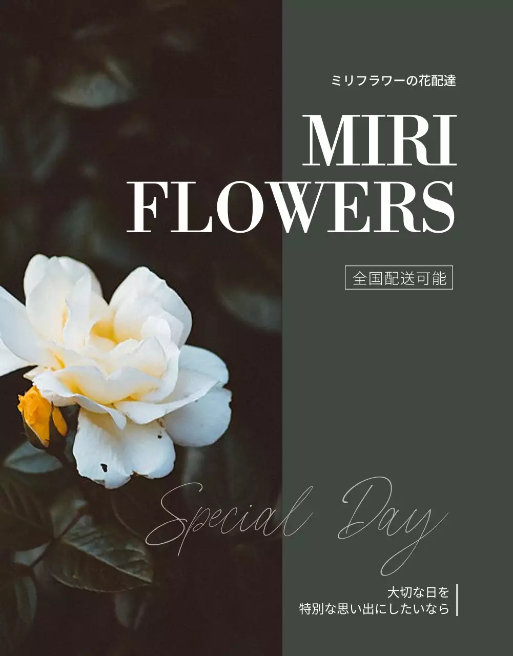 白 モダン 花 プラン 詳細ページ