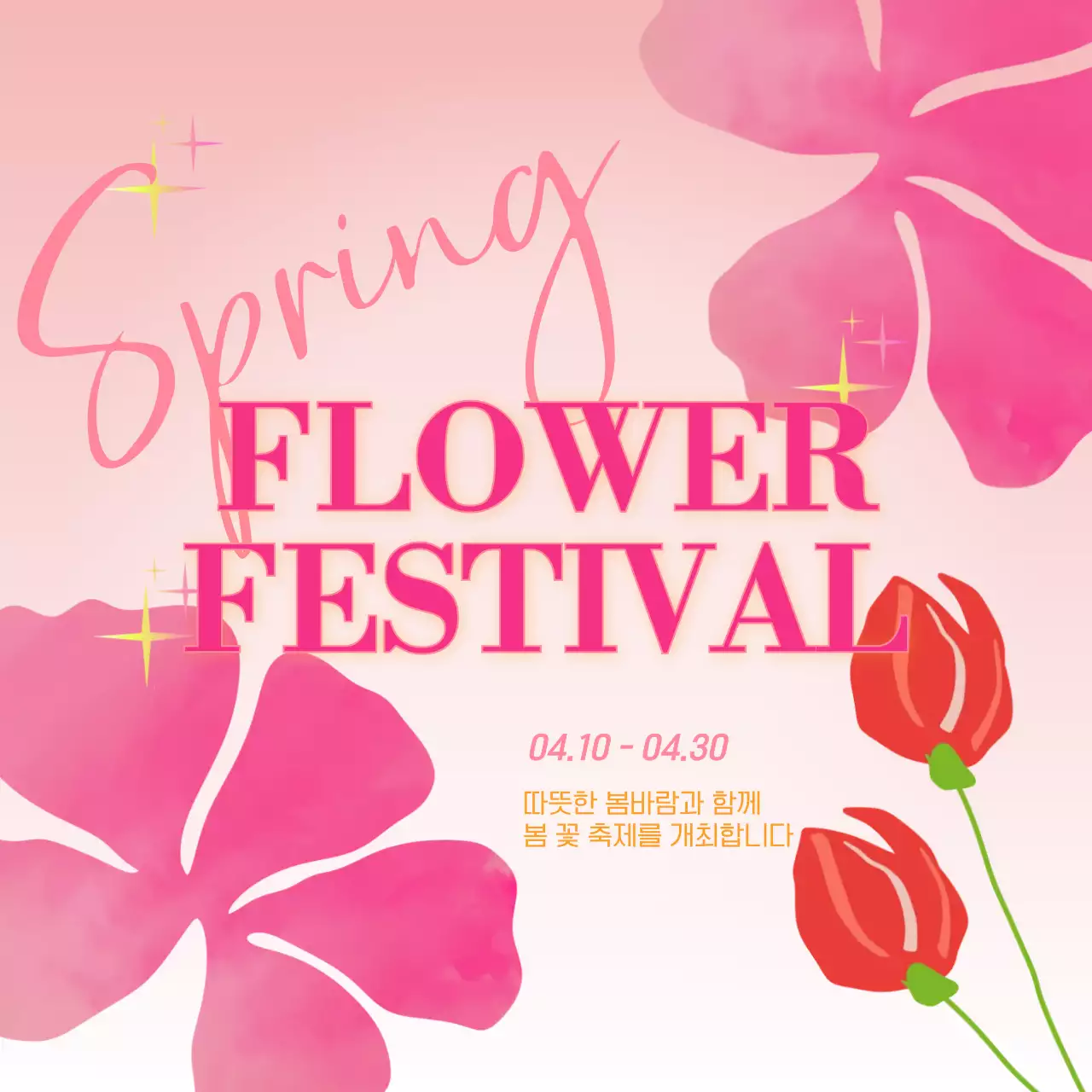 핑크 팝 축제 안내