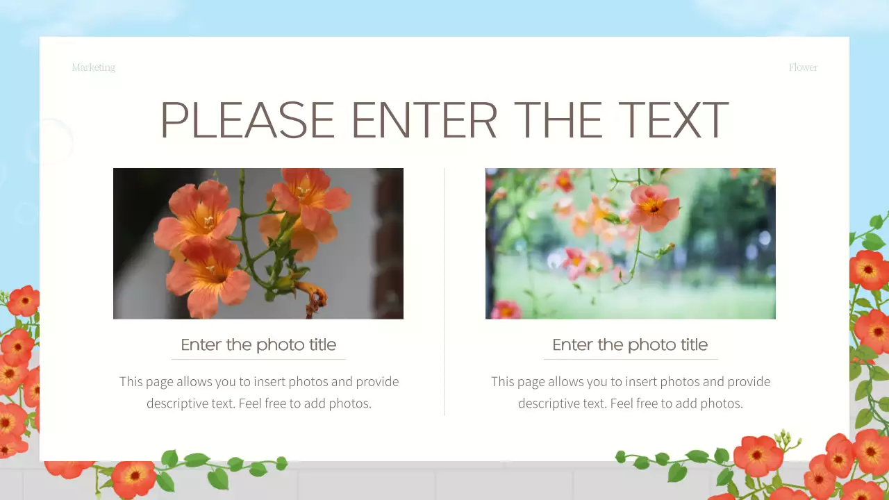 오렌지 꽃 꽃 프레젠테이션