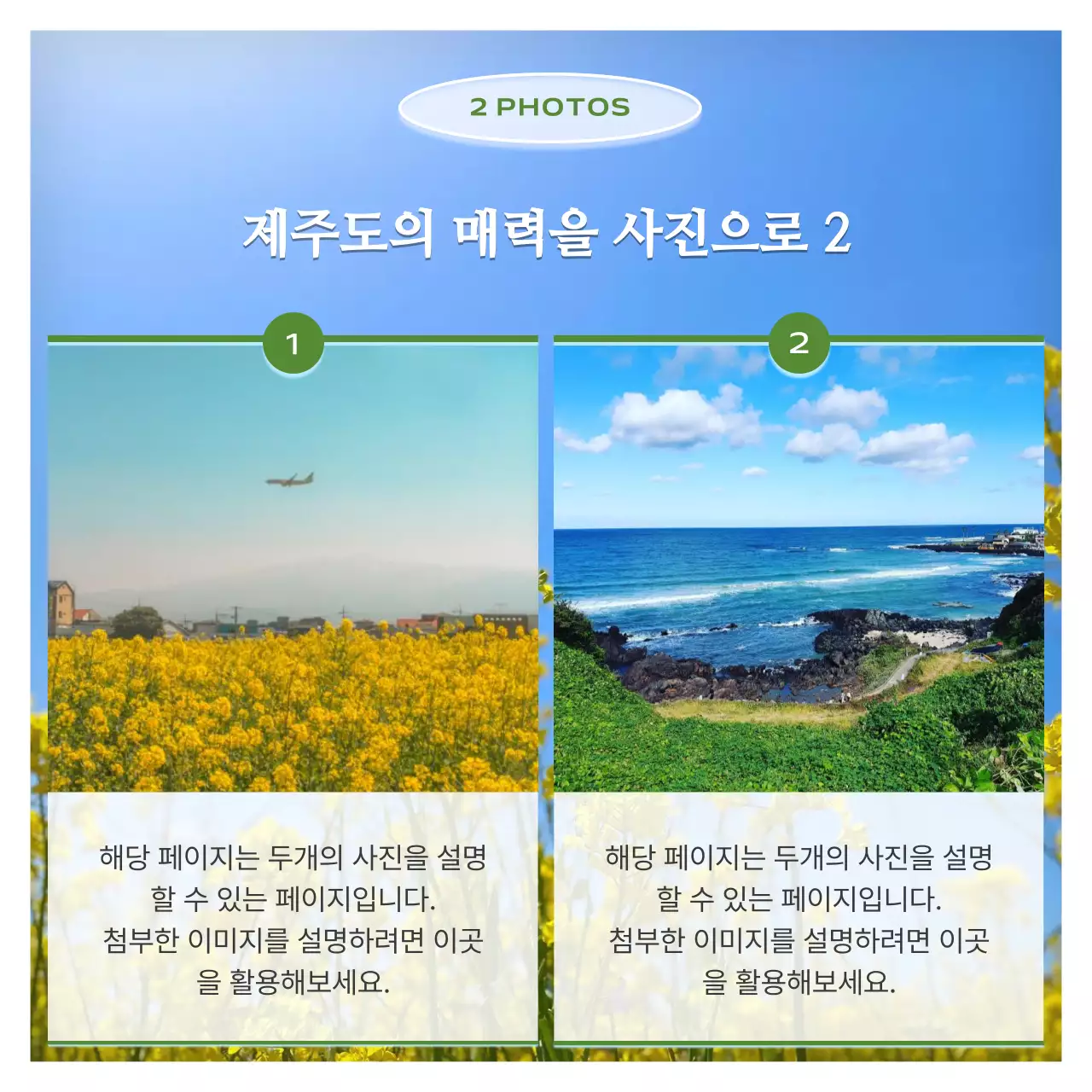 연두와 하늘색의 모던한 제주 지역 안내 게시글