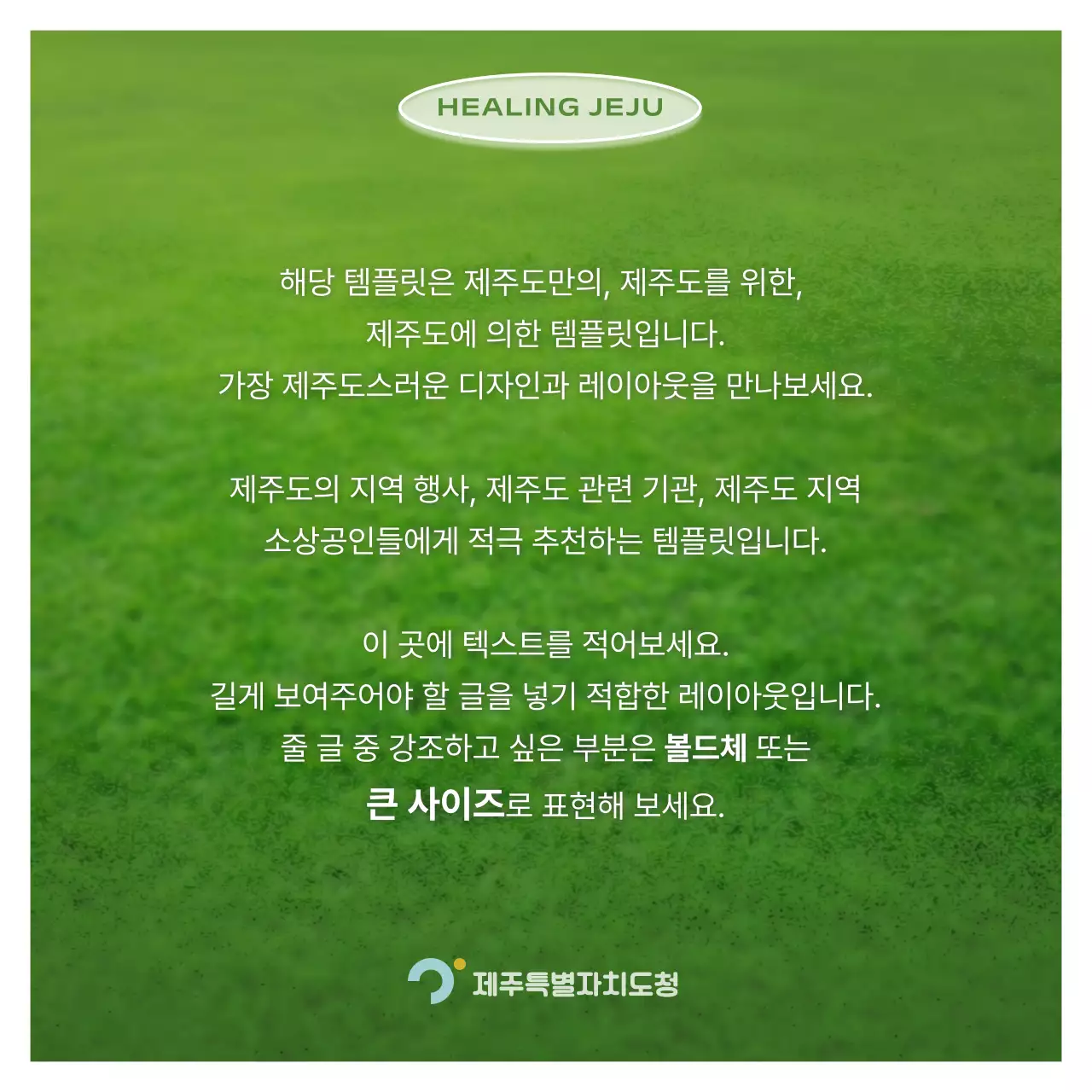 연두와 하늘색의 모던한 제주 지역 안내 게시글