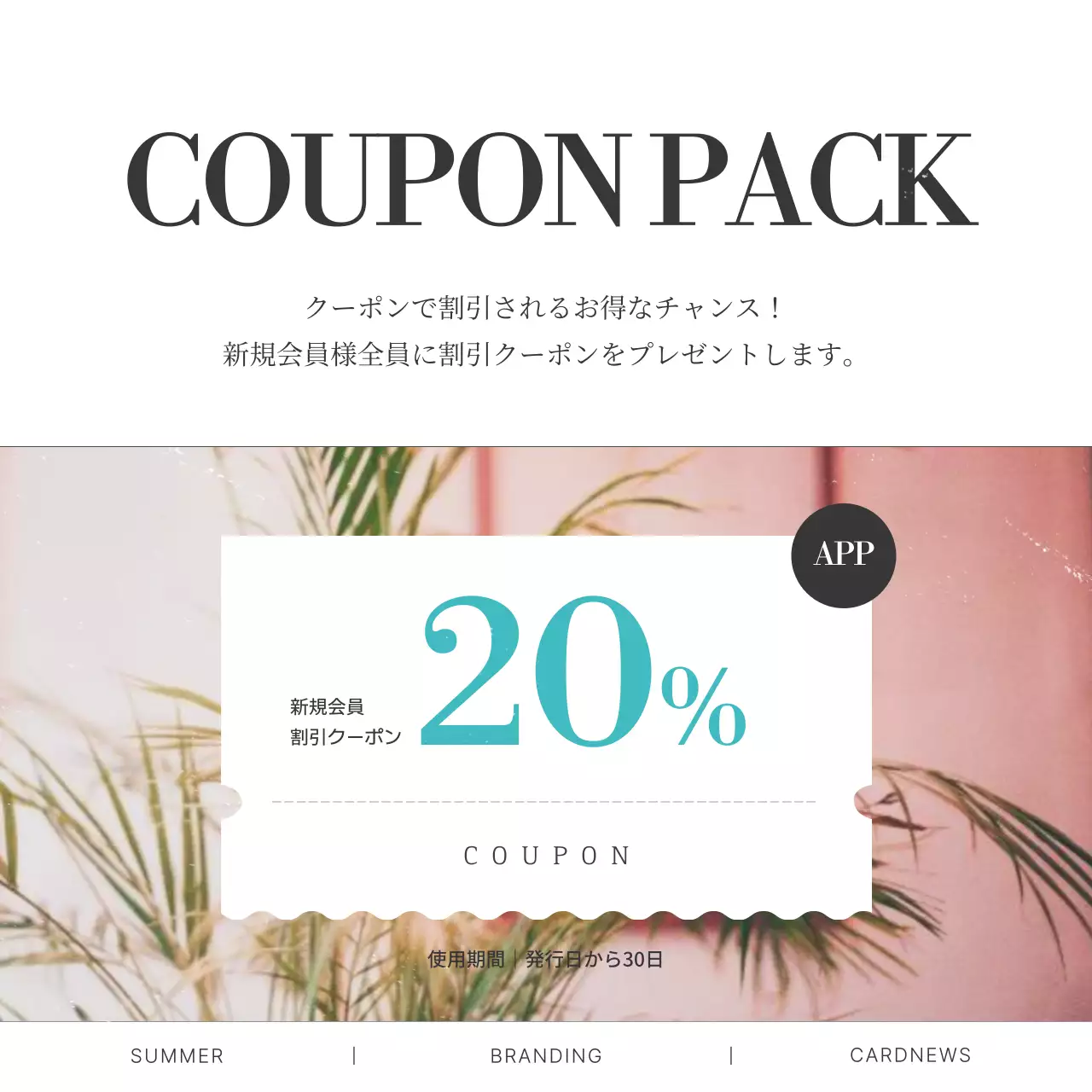 青 シンプル マーケティング プラン