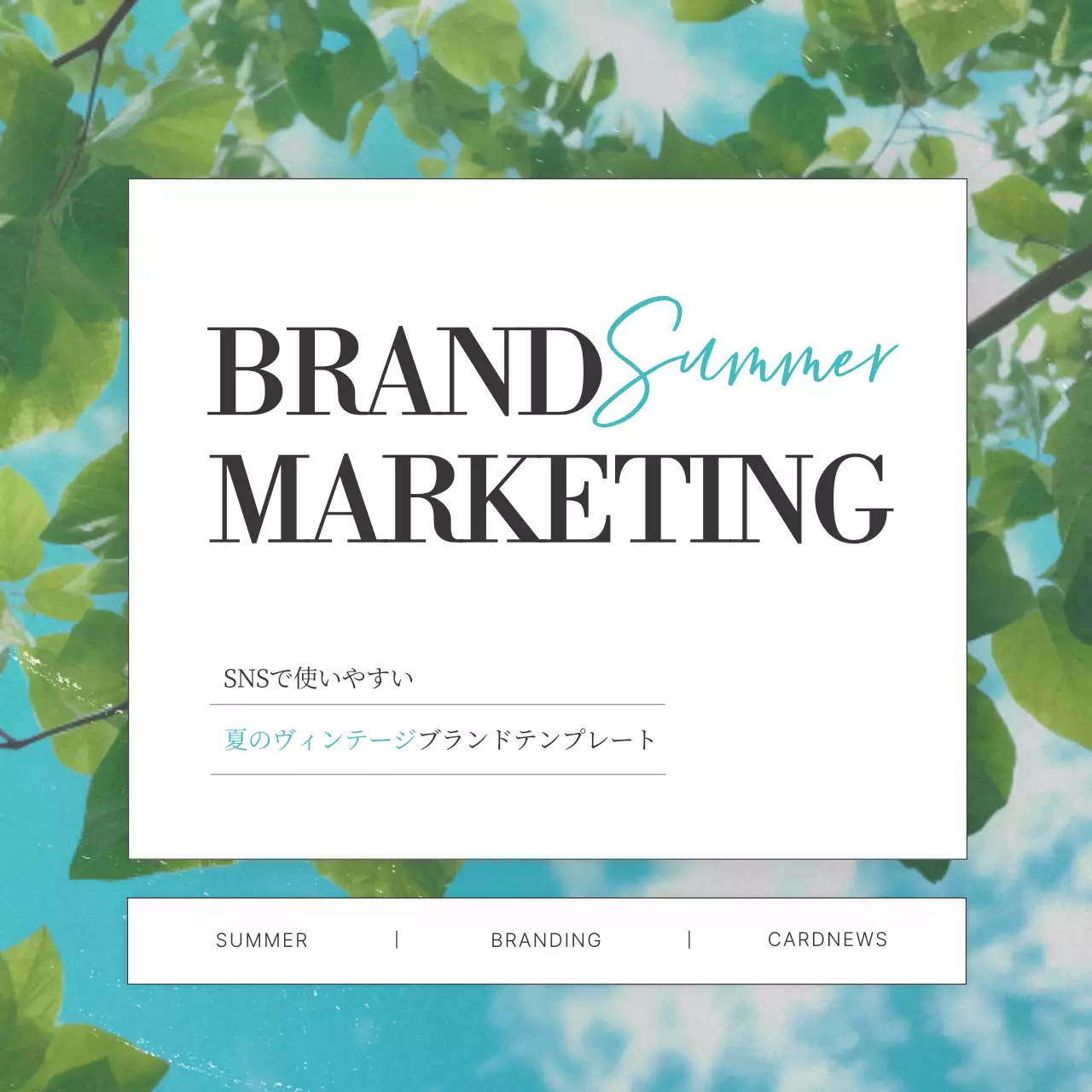 青 シンプル マーケティング プラン