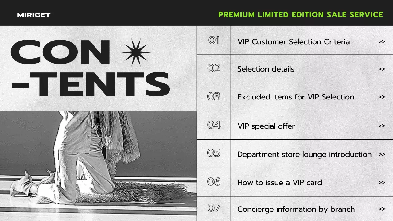 Grey Modern Vip Guide Presentation