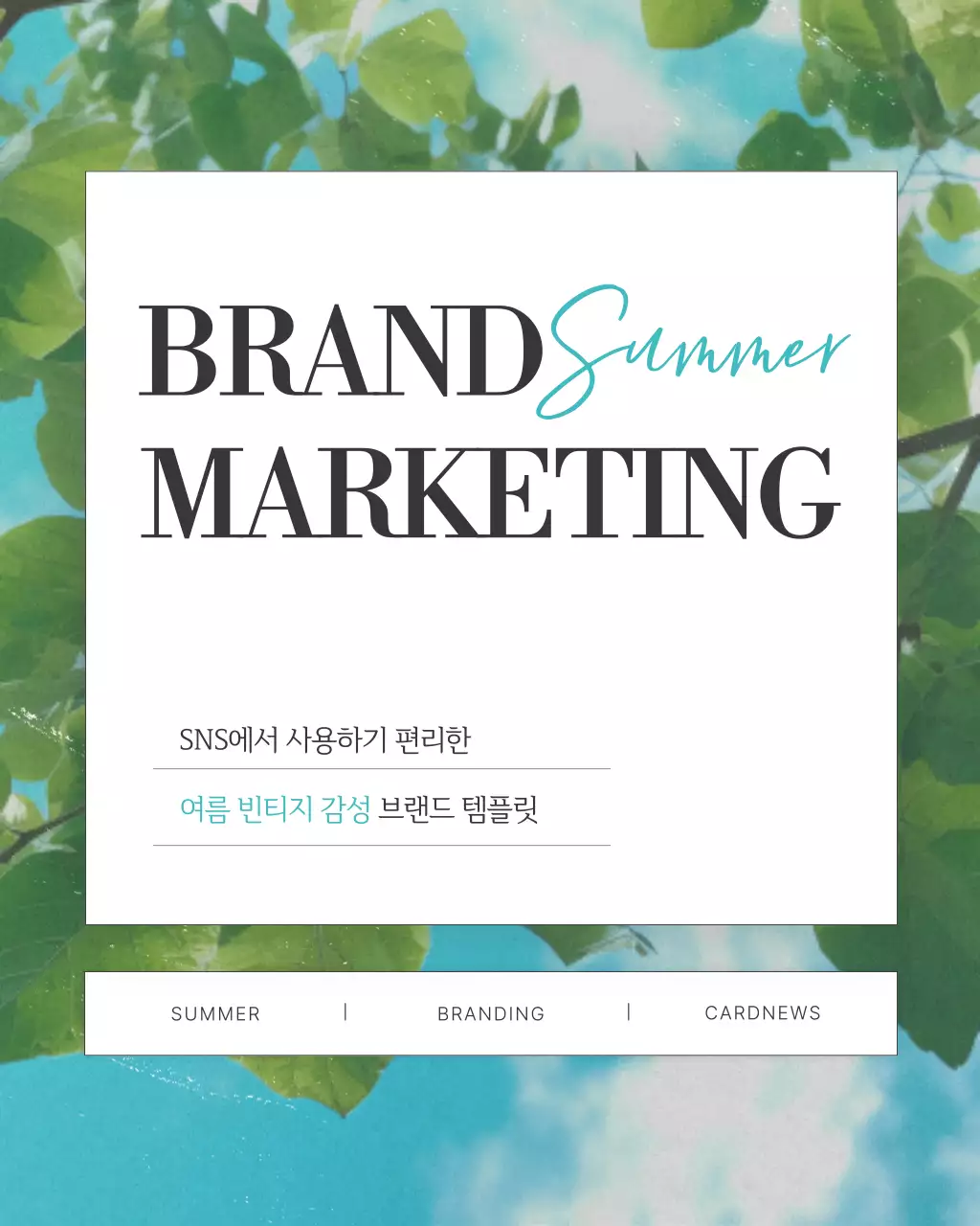 초록색의 빈티지한 여름 컨셉의 브랜드 SNS 게시글