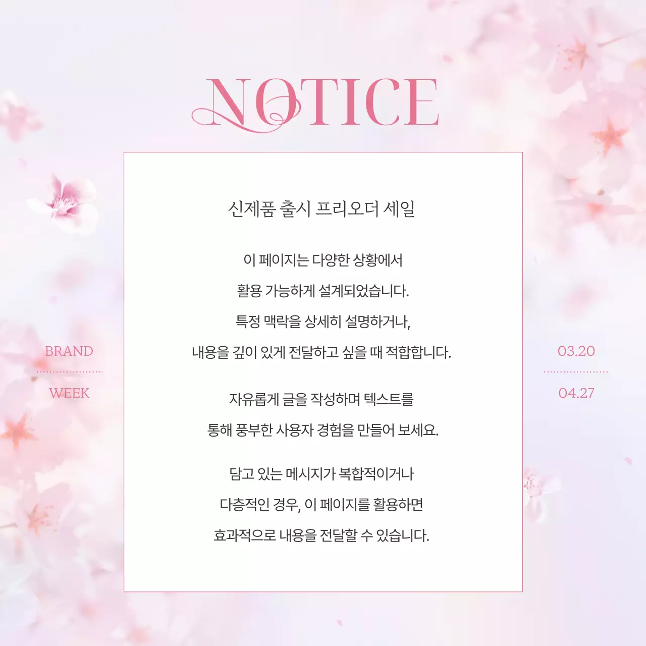 핑크색의 깔끔한 봄 벚꽃 브랜드 마케팅 홍보