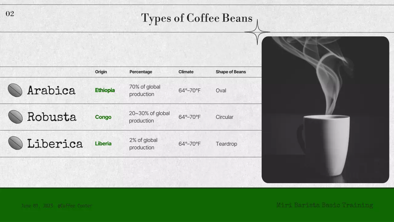 모노톤과 녹색 조합의 심플한 바리스타 기초 교육