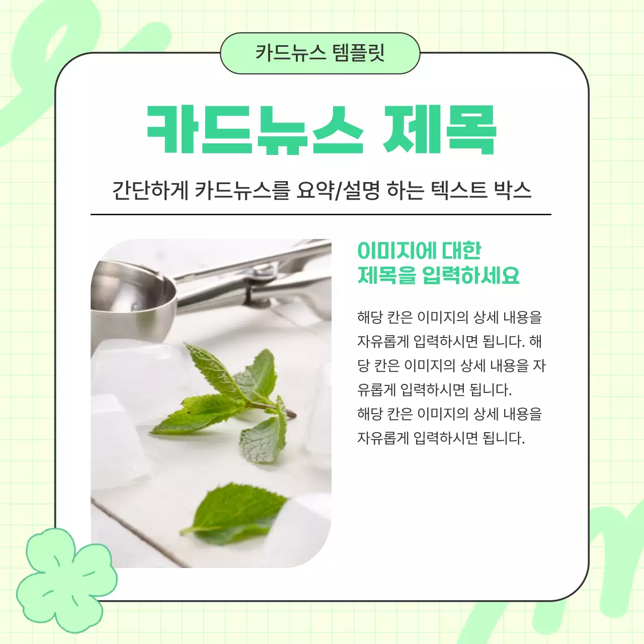 민트 아기자기한 정보 전달