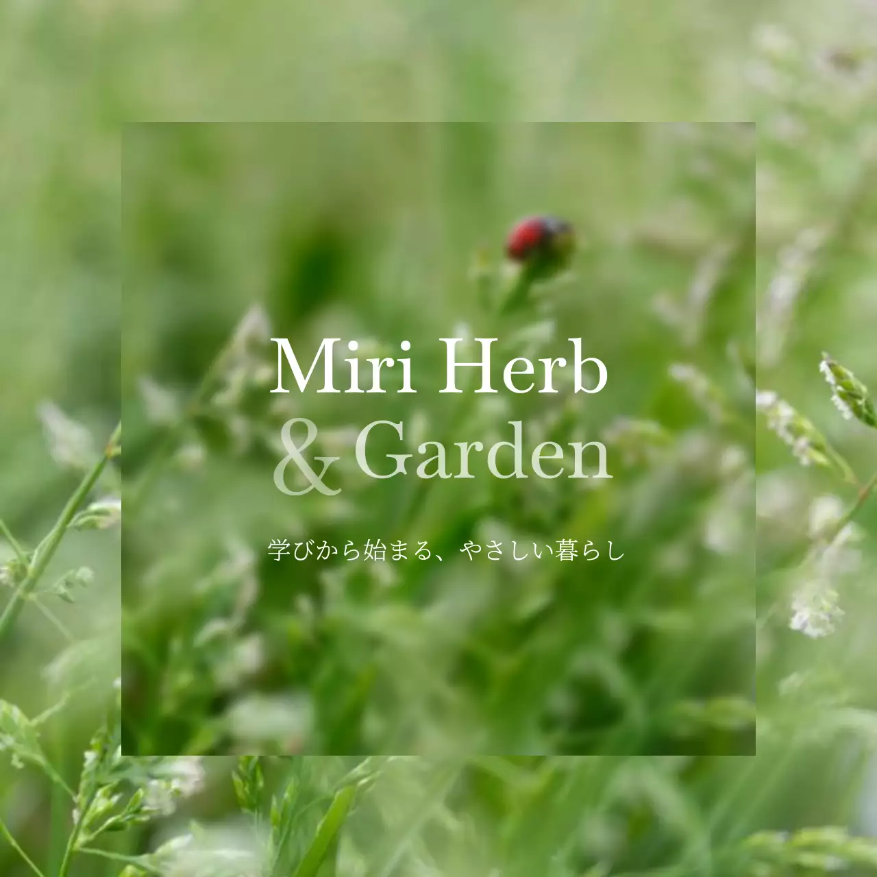 緑 ナチュラル ガーデニング ポスター 教室紹介ナチュラル
