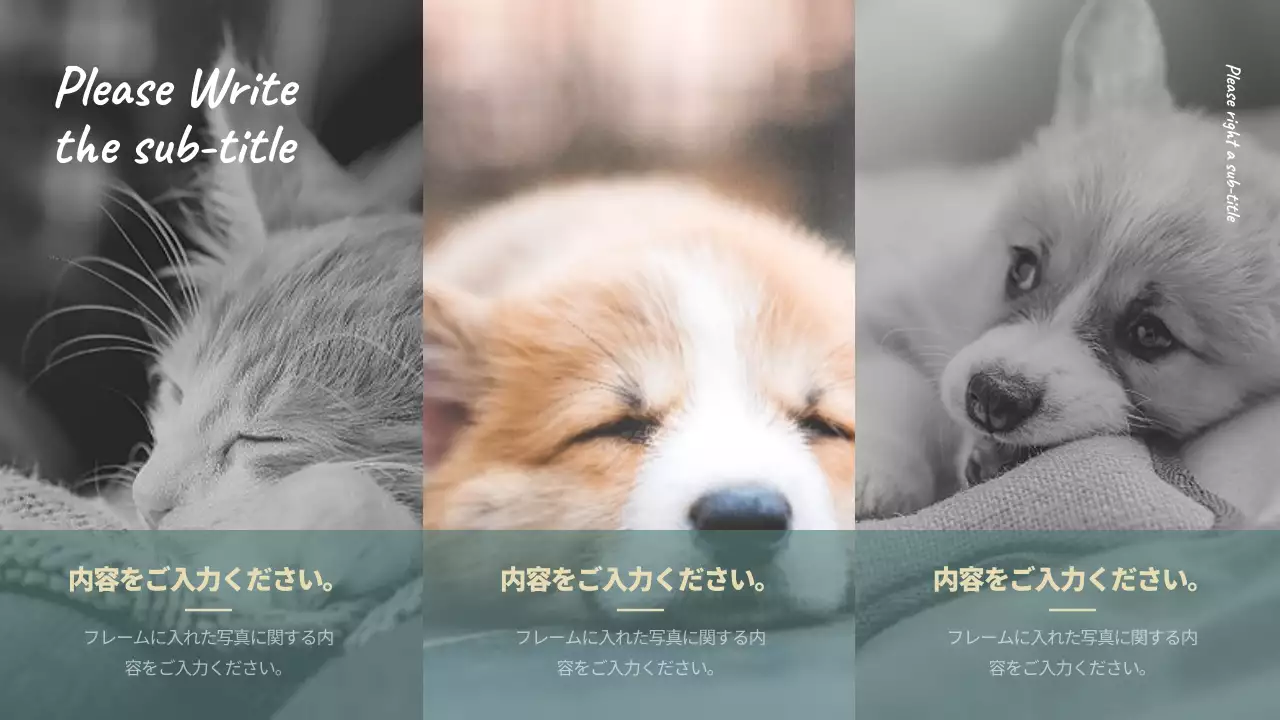 ミント シンプル 映画 プレゼンテーション