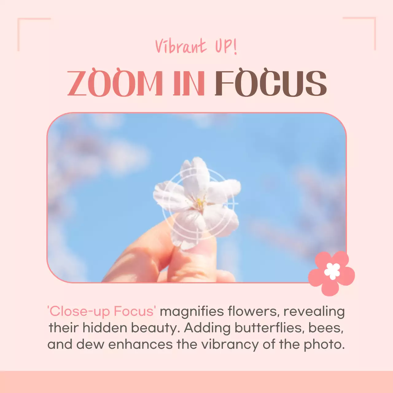 Guia de Fotografia Estética Rosa Carrossel do Instagram